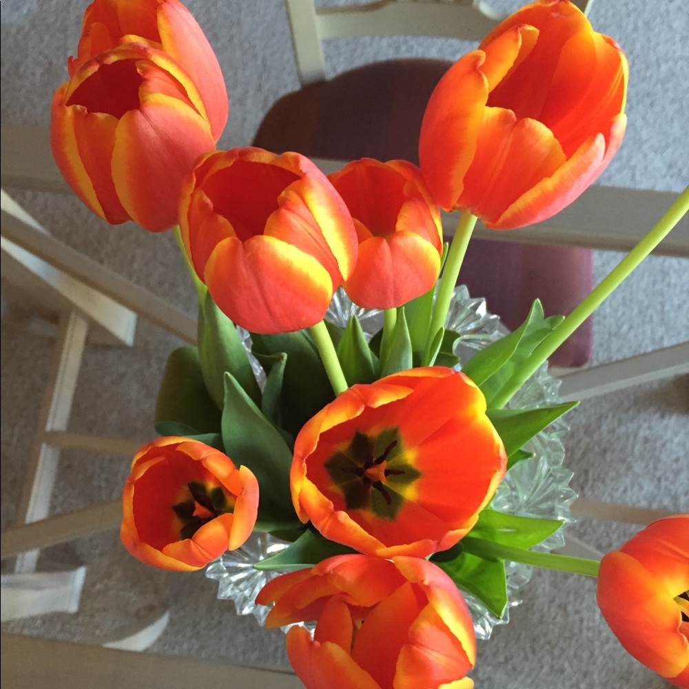 Meet your Posher, Ashley